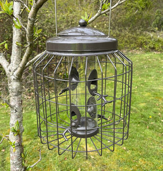 Squirrel Proof Hanging Bird Seed And Nut Feeders, 4 of 9