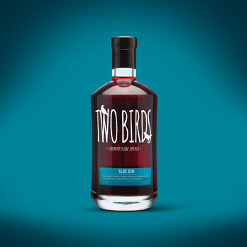 Two Birds Sloe Gin, 70cl, 2 of 2