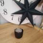 Small Succulent Houseplant In Ceramic Pot, thumbnail 6 of 9