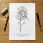 Hand Illustrated Sunflower Flower Print, thumbnail 2 of 8