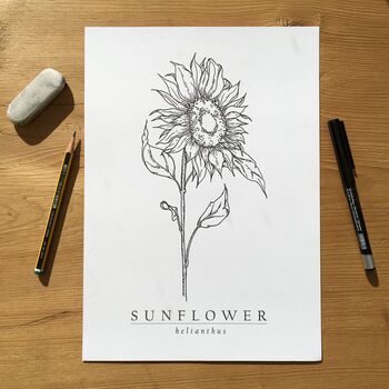 Hand Illustrated Sunflower Flower Print, 2 of 8