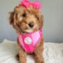 Hearts Of Pink Adjustable Dog Harness, thumbnail 7 of 9