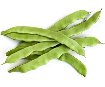 Vegetable Plants, Runner Bean 'Red Rum', Large Plant Pack, 2 of 6