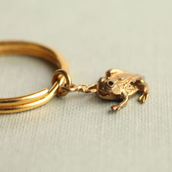 Tiny Frog Gift Keyring, 2 of 5