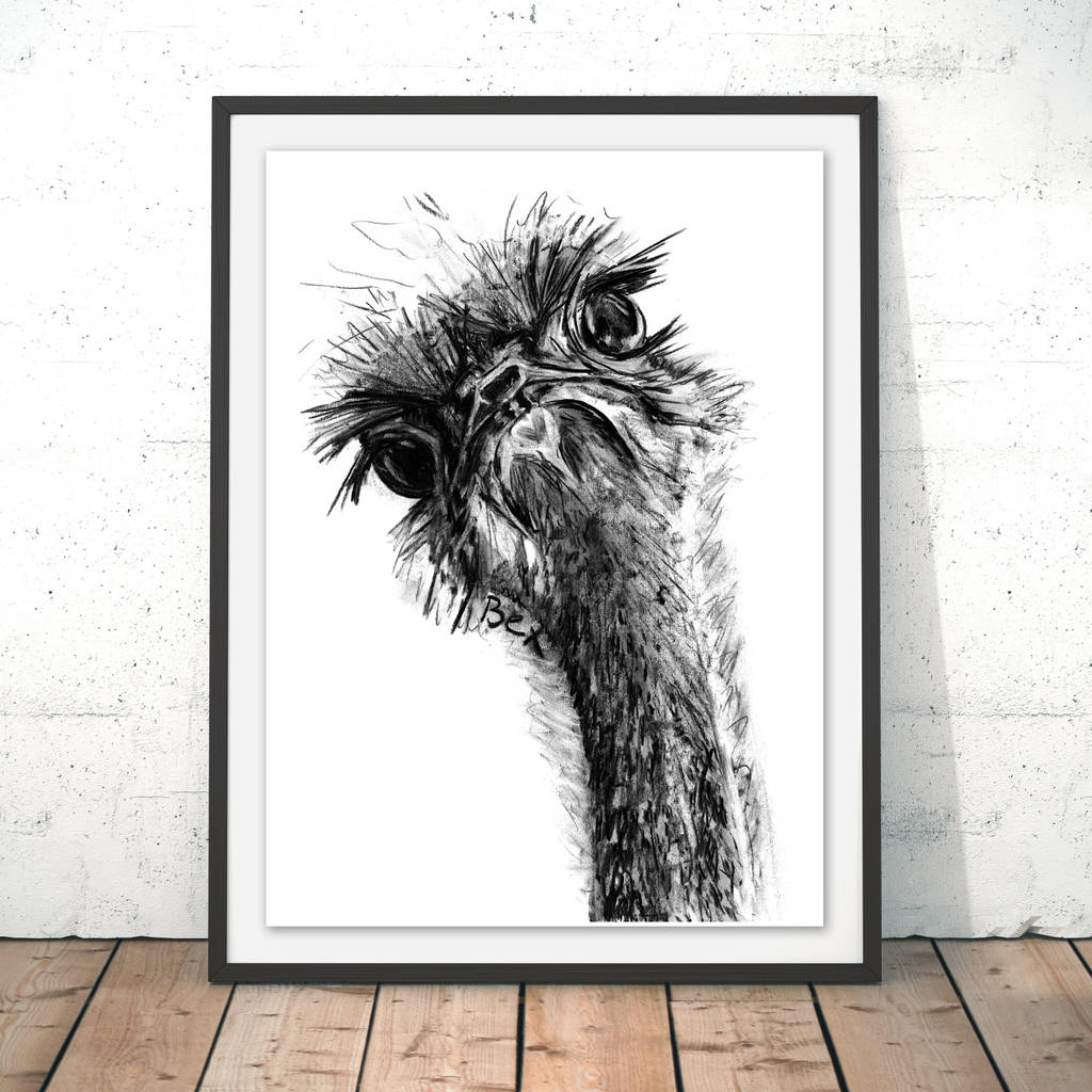 ostrich charcoal fine art giclée print by wraptious