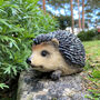 Mr Pricklepants Hedgehog Hoglet Garden Ornament, thumbnail 1 of 6