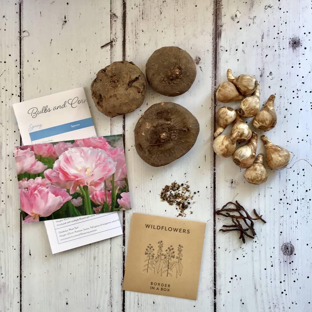 Grow Your Own Wildflower Garden With Bulbs And Seeds By Border In A Box