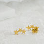 Gold Plated Triple Star Stud Earrings, thumbnail 4 of 4