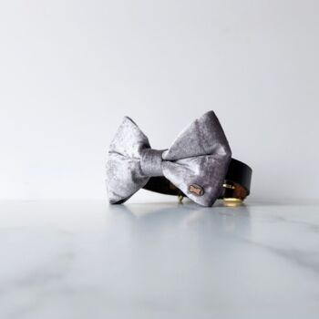 Party Luxe Velvet Dog Bow Ties, 7 of 12