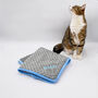 Personalised Embroidered Pet Blanket, thumbnail 3 of 4