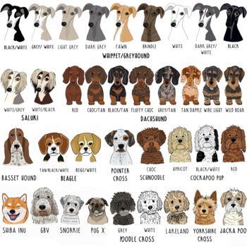 Personalised Dog Varsity Vacuum Water Bottle, 9 of 12