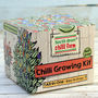 Chilli Growing Kit 'All in One', thumbnail 1 of 2