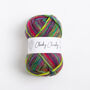 Ellie Easy Rainbow Forest Green Hat Knitting Kit, thumbnail 6 of 8