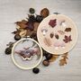 Autumn And The Moth Embroidery Kit, thumbnail 1 of 7