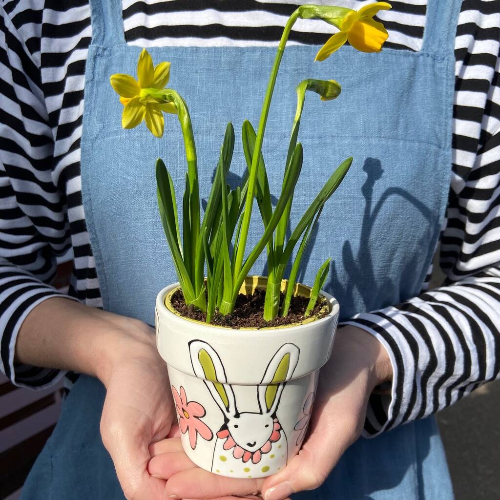 Flower Pot For Spring Bulbs By Gallery Thea