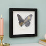 3D Butterfly Wall Art Zodiac Gift, thumbnail 3 of 5