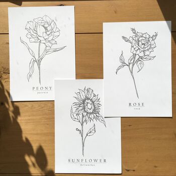 Hand Illustrated Peony Flower Print, 6 of 7