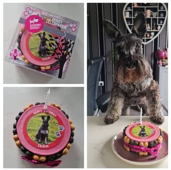 Personalised Pet Portrait Photo Cake For Dogs, 3 of 3