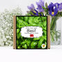 Herb Garden Basil Growing Kit. Gardening Gift, thumbnail 1 of 5