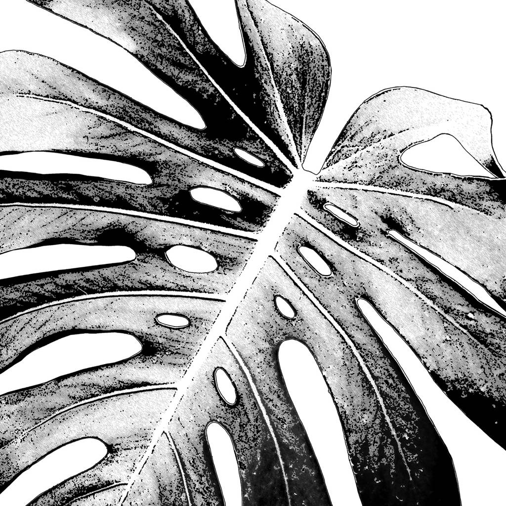 set-of-three-black-and-white-botanical-wall-art-prints-by-bronagh-kennedy-art-prints