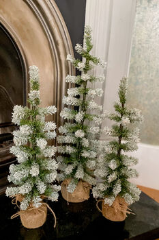Miniature Snow Covered Faux Christmas Trees Two Sizes, 2 of 5