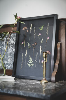 A3 Framed Pressed Flower Art – Shadow Garden On Black, 4 of 8