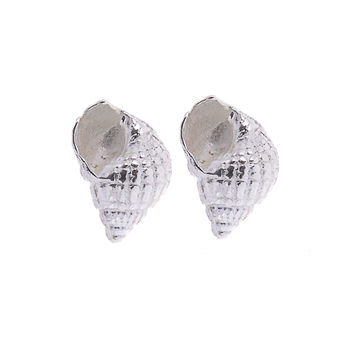 Silver Seashell Stud Earrings, 7 of 10