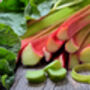 Rhubarb 'Victoria' Plant In 2 L Pot, thumbnail 2 of 4