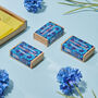 Wildflower Cornflower Seed Boxes, thumbnail 2 of 7
