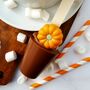 Praline Pumpkin Hot Chocolate Spoon, thumbnail 2 of 2