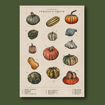 Pumpkin And Squash Artwork Print, 3 of 8