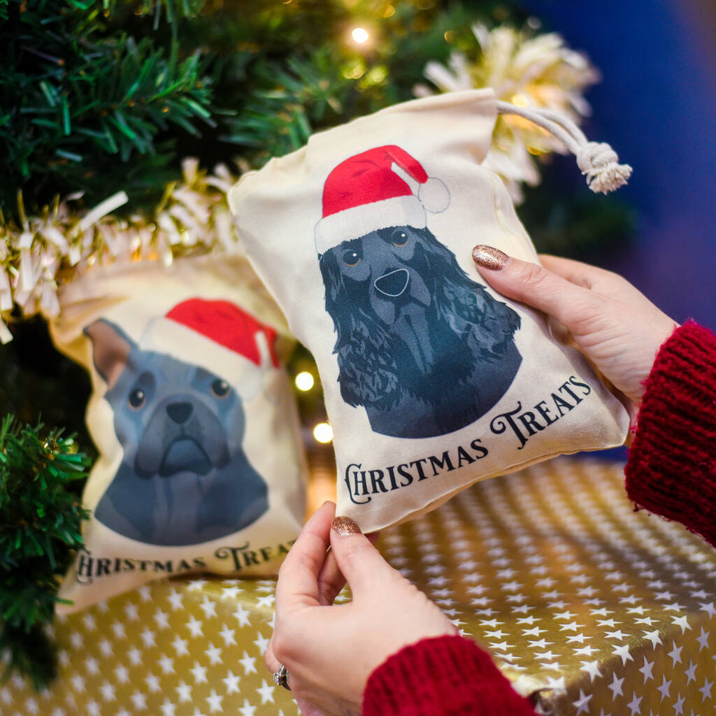 Personalised Santa Dog Christmas Treat Bag, 1 of 12