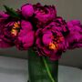 Peony Crepe Paper Bouquet Craft Kit, thumbnail 6 of 7
