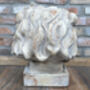7 Kg Large 41cm Distressed Stone Effect Lion’s Head Planter, thumbnail 2 of 5