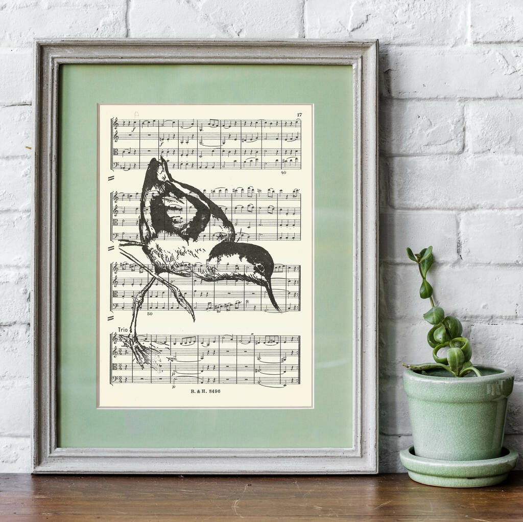 Avocet Wading Bird Screen Print On Vintage Music Paper