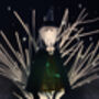 Wizard Headmaster Light Up Tree Topper | 22cm, thumbnail 6 of 6