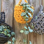 Hanging Plant Pot Crochet Kit, thumbnail 1 of 7