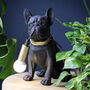 Pug Table Lamp, thumbnail 1 of 5