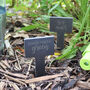 Funny Slate Plant Markers Set Of Six, thumbnail 3 of 6