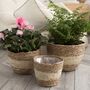 Pack Of Three Natural Seagrass Planter Baskets, thumbnail 4 of 8