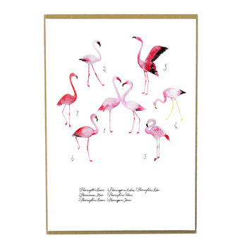 Flamboyance Of Flamingos Art Print, 4 of 7