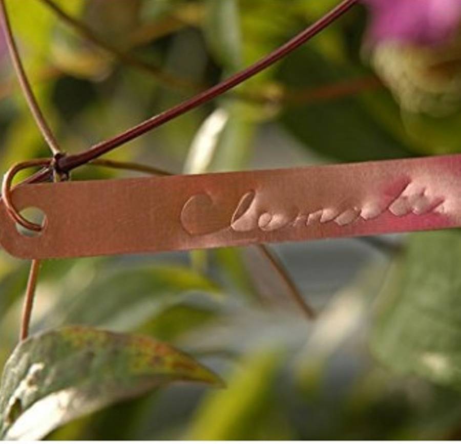 Copper plant labels uk
