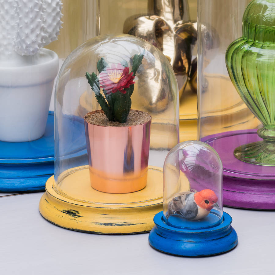 Glass Dome Bell Jar With Coloured Base By I Love Retro