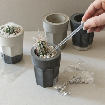 Concrete Planter Cactus Kit, 6 of 12