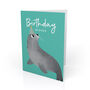 Cute Grey Seal Birthday Card, thumbnail 1 of 4