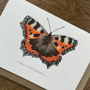 Illustrated Small Tortoiseshell Butterfly Card, 3 of 6
