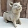 Adorable Pig Plant Pot Stone Indoor Planter Fun Pig Gift, thumbnail 9 of 10