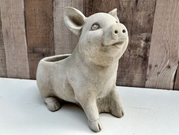 Adorable Pig Plant Pot Stone Indoor Planter Fun Pig Gift, 9 of 10