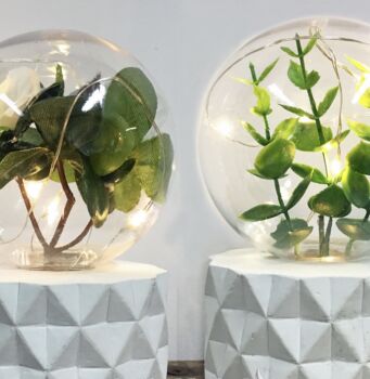 LED Plant Fairy Light Terrariums, 4 of 4