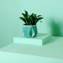 Origami Self Watering Eco Plant Pot: 11cm | Aqua, thumbnail 4 of 5